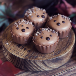 Brownie Hedgehog Cupcake