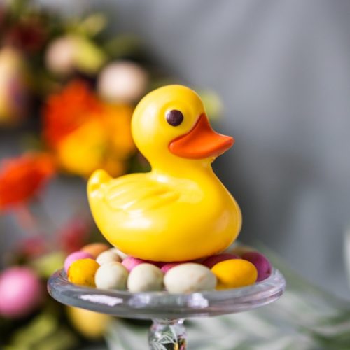 White Chocolate Yellow Duckling